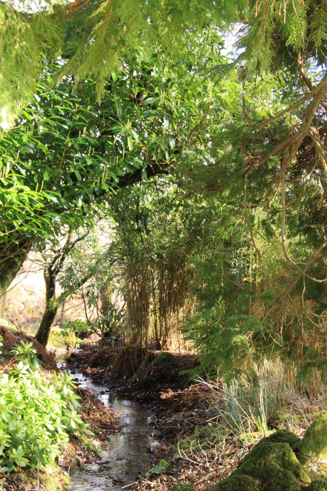 Loch Awe Kilchurn Suites מראה חיצוני תמונה